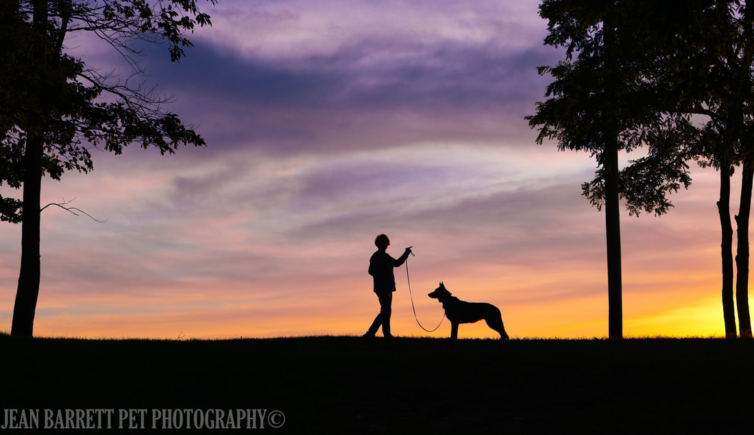 Woman and German Shepherd dog on a hill with a colorful sunset behind them.