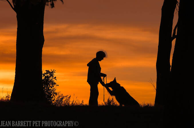 Woman holding German Shepherd paw while standing on a hill with trees and the orange sun setting in the background.